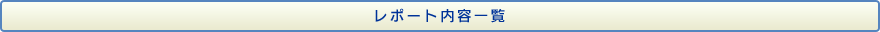 レポート内容一覧